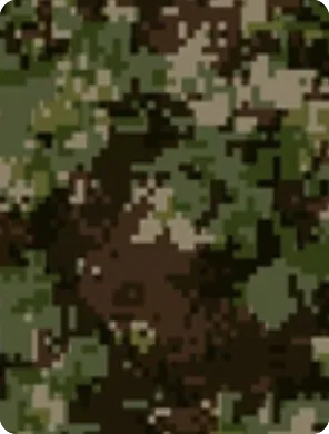 Forest Camouflage Pattern